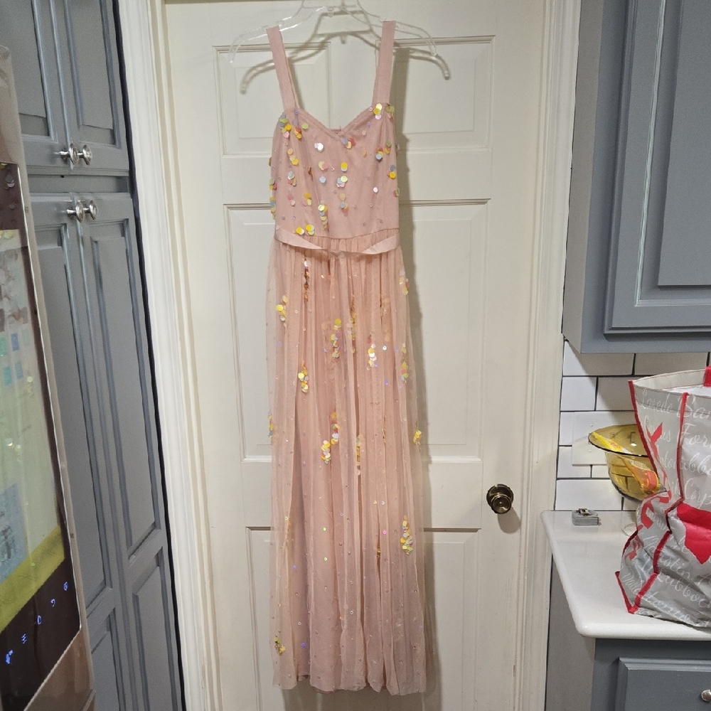 Frock & Frill Blush Pink Tulle Sequins Maxi Dress